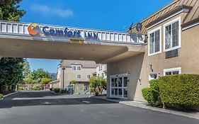 Comfort Inn Redwood City Ca